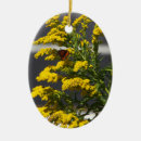 Search for yellow butterflies ornaments Butterfly