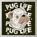 Recherche de activiste art Animal