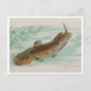 Recherche de poissons de chat cartes postales Vintage