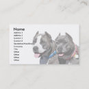 Search for pitbull business cards Pet