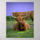Search for cattles art Blue