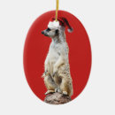 Search for meerkat ornaments Santa