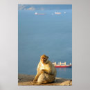 Recherche de le gibraltar posters Mer