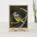 Search for cedar cards Waxwing