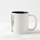 Search for sumatran tiger mugs Animals