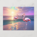 Search for flamingo beach postcards Sea