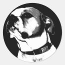 Search for american bulldog stickers Cute