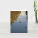 Search for waterbirds cards Nature