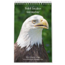 Search for bald eagle calendars Birds of prey
