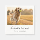 Search for napping dog Cute