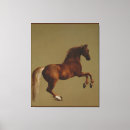 Search for leg art Horse