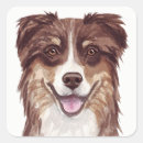 Search for australian shepherd stickers Watercolor