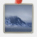 Search for arctic ornaments Polar