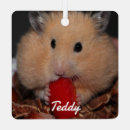 Search for hamster ornaments Mouse