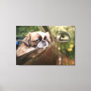 Search for animals canvas prints Dog