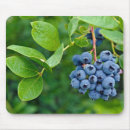 Recherche de bleu bleuet tapis souris Nourriture