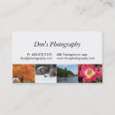 Recherche de saisons photographie Paysage