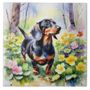 Search for dachshund tiles Animal
