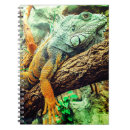 Recherche de iguane carnets Reptile