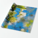 Recherche de fleurs de cerisier papier cadeau Arbre
