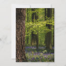 Search for bluebell cards Tree