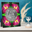 Search for daylily Flower