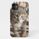 Search for kitten iphone cases Tabby
