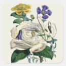 Search for postage stickers Unique