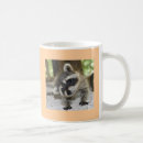 Search for raccoons mugs Silly