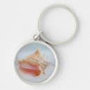 Search for conch shell keychains Beach