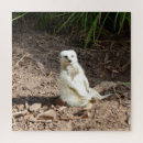 Search for rare puzzles Animal