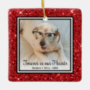 Search for elegant pet memorial ornaments Celebration of life