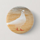 Recherche de colombe de blanc badges Oiseau