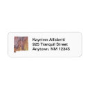 Search for mexico return address labels Map