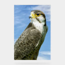 Recherche de lanie posters Animal