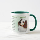 Search for clumber spaniel Pets