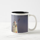 Search for fishing lures mugs Outdoors