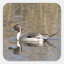 Search for duck pond stickers Waterfowl