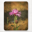 Search for shrubs mousepads Purple