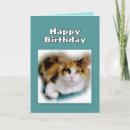 Search for calico cat birthday cards Feline