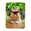 Recherche de verre vin magnets Humour