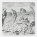 Search for florida native stickers Moyne