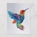 Search for colibri postcards Illustration
