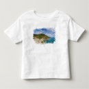 Search for cinque terre tshirts Vernazza