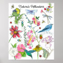 Search for pollinator posters Butterflies