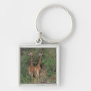 Search for torso keychains Low section