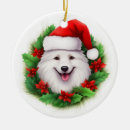 Search for japanese spitz Canine