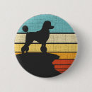 Recherche de de caniche standard badges Chiot