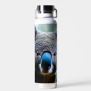 Search for koala water bottles Marsupial