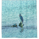 Search for blue heron shower curtains Animal